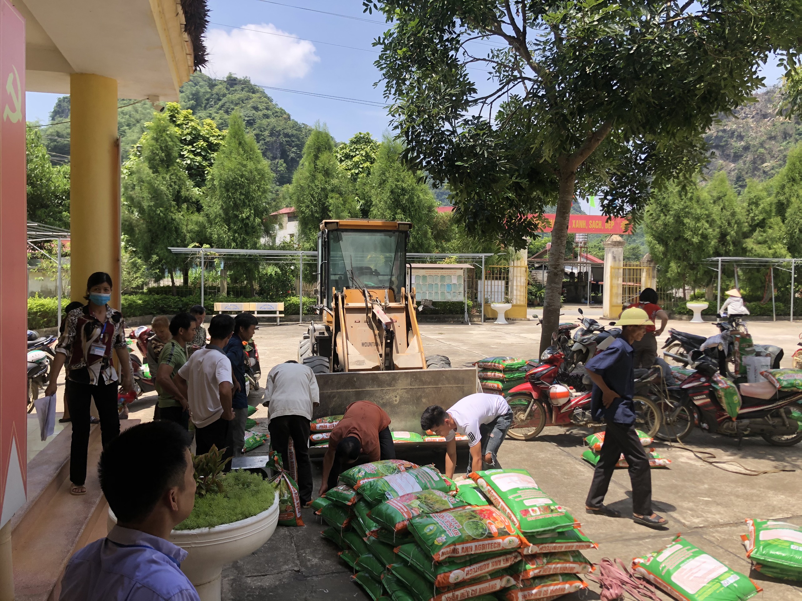 Cung ứng phân bón cho 135 hộ gia đình trồng lúa nếp thơm
